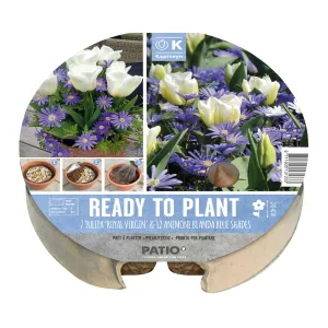 Kapiteyn 24cm Tulip & Anemone Plant-O-Mat Spring Flowering Bulbs